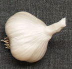 THERMADRONE GARLIC - seed bulbs