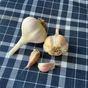 Unknown Local Kentucky hard neck