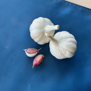 Spanish Roja Garlic