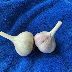 Zeramarez Garlic